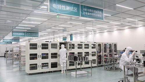 張家口的風(fēng)，點(diǎn)亮北京的燈——海歸青年在綠色能源浪潮中顯身手